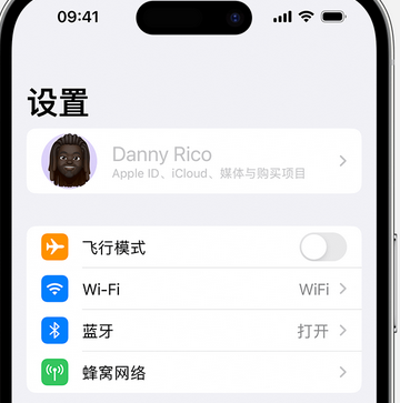 繁昌appleID维修服务iPhone设置中Apple ID显示为灰色无法使用 