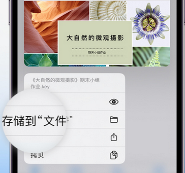 繁昌apple维修中心分享iPhone文件应用中存储和找到下载文件