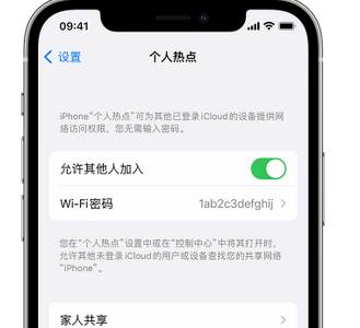 繁昌apple服务站点分享iPhone上个人热点丢失了怎么办