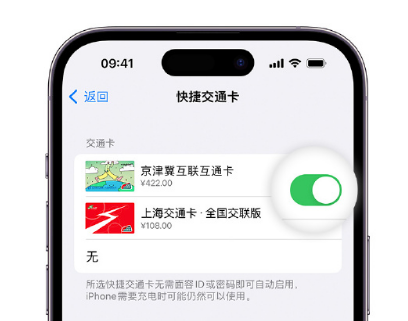 繁昌apple维修点分享iPhone上更换Apple Pay快捷交通卡手绘卡面 