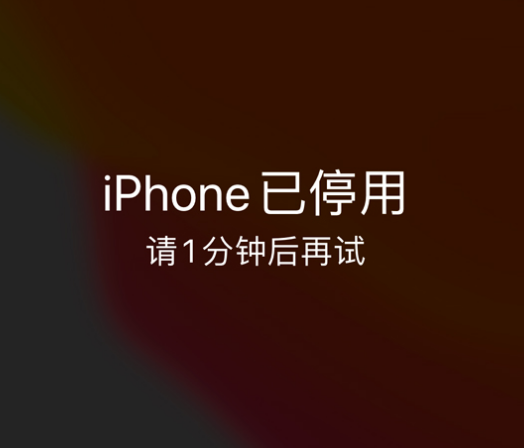 繁昌苹果手机维修分享:iPhone 显示“不可用”或“已停用”怎么办？还能保留数据吗？ 