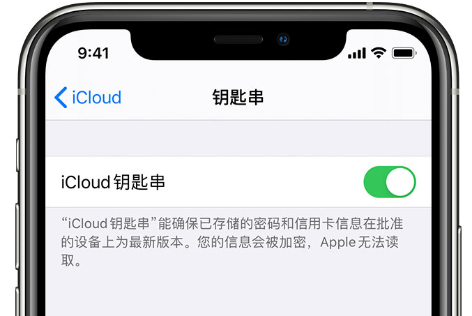 繁昌苹果手机维修分享在 iPhone 上开启 iCloud 钥匙串之后会储存哪些信息 