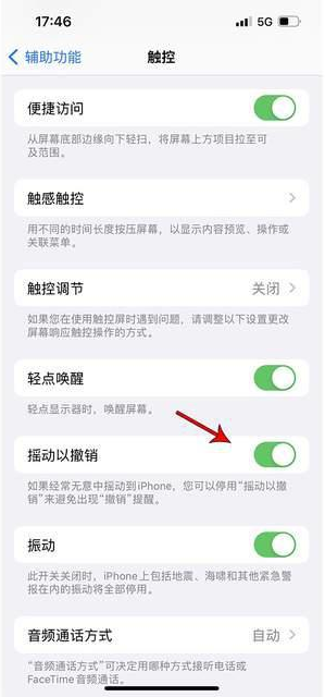 繁昌苹果手机维修分享iPhone手机如何设置摇一摇删除文字 