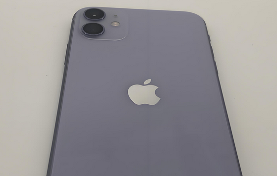 繁昌苹果11系统维修分享iPhone11手机系统崩溃无法开机如何解决